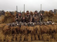 duck arkansas hunting leases daily hunts yearly blinds guided self stuttgart season
